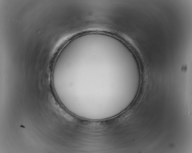 X0000112151408200908070952