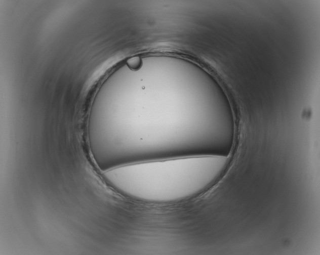 X0000112151410200908070952