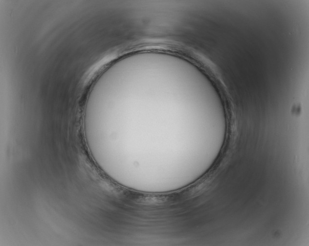 X0000112151411200908070952