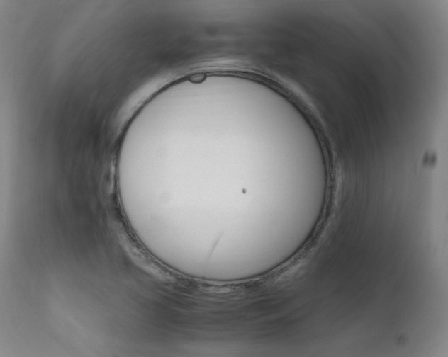 X0000112151413200908070952