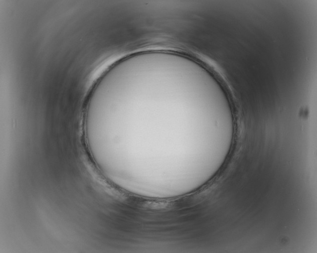 X0000112151415200908070952