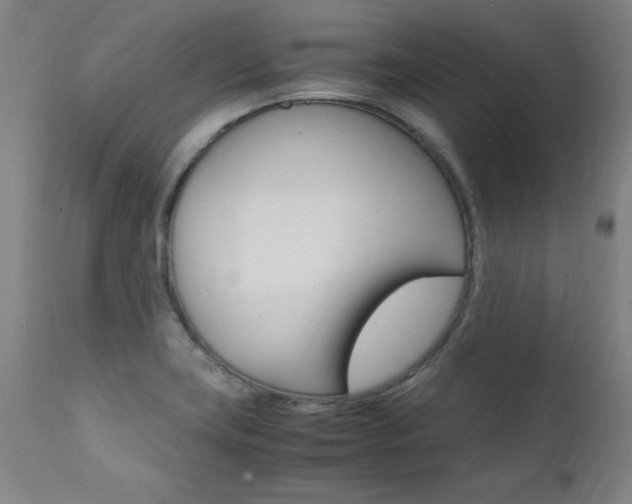 X0000112151419200908070952