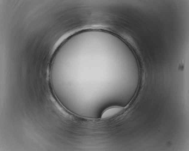X0000112151420200908070952
