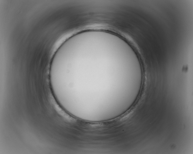 X0000112151421200908070952