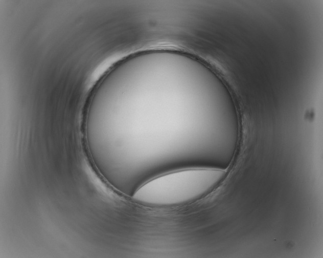 X0000112151422200908070952