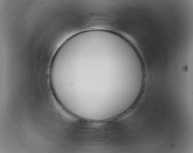 X0000112151423200908070952