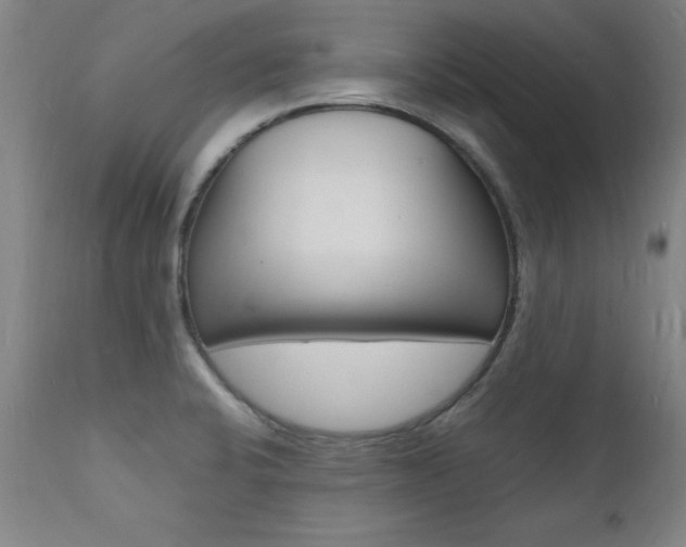 X0000112151424200908070952