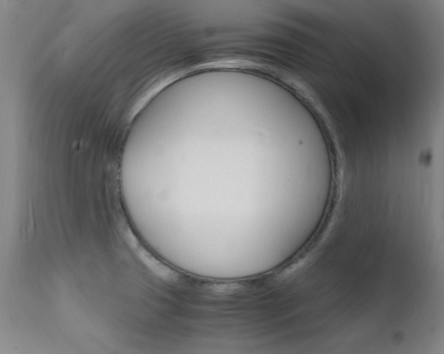 X0000112151425200908070952
