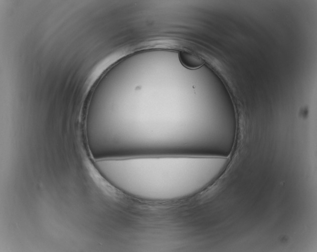 X0000112151426200908070952