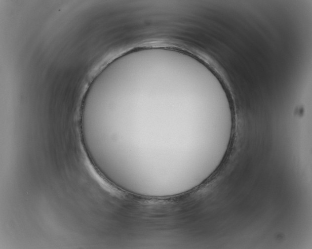X0000112151429200908070952