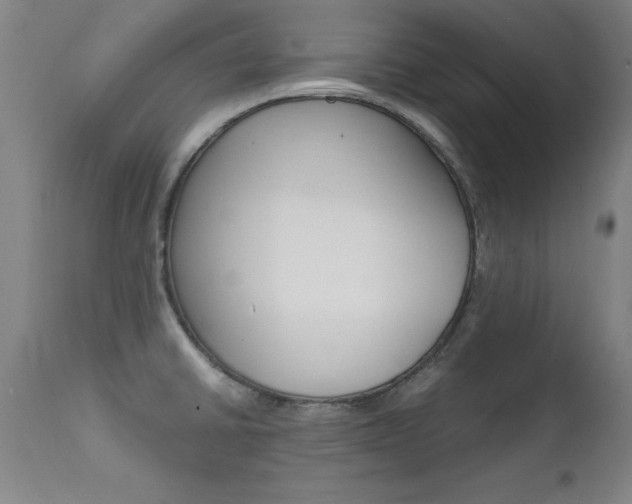 X0000112151430200908070952