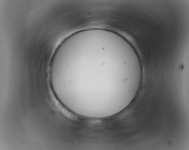 X0000112151431200908070952