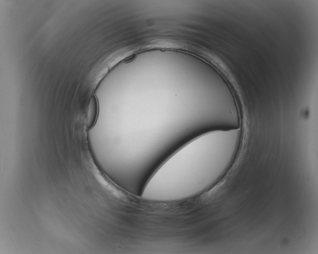 X0000112151433200908070952