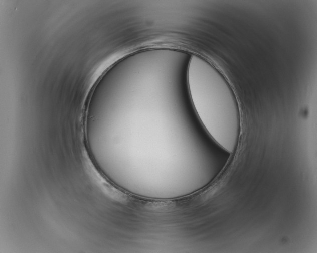 X0000112151434200908070952