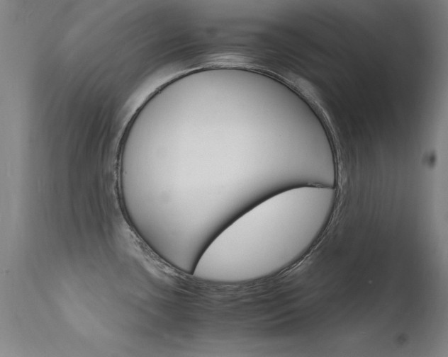 X0000112151435200908070952