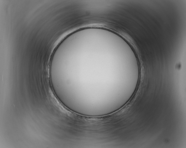 X0000112151436200908070952