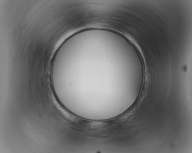 X0000112151437200908070952