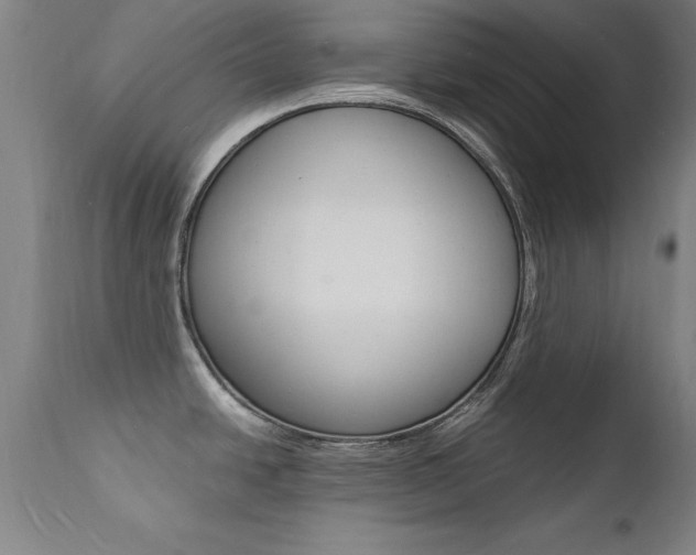 X0000112151438200908070952