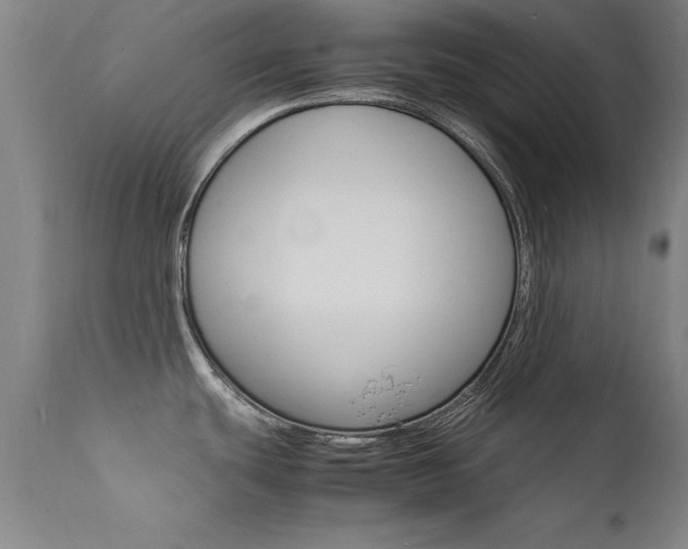 X0000112151439200908070952