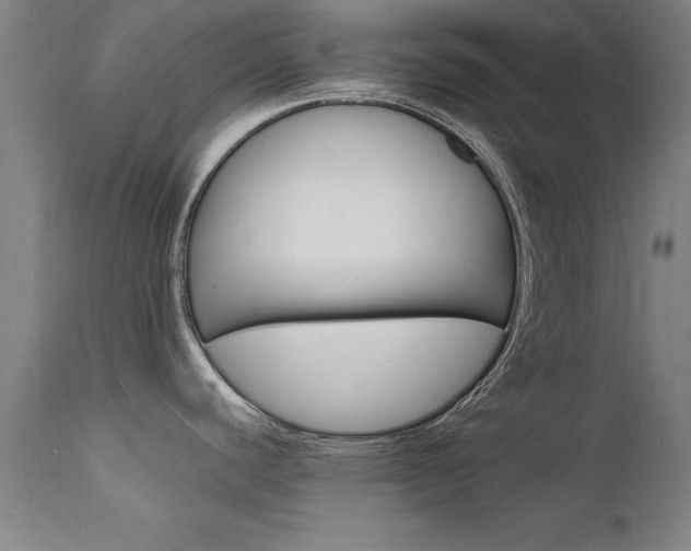 X0000112151440200908070952