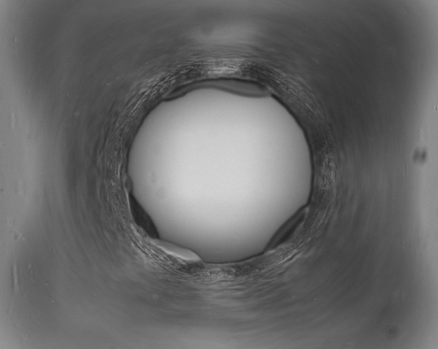 X0000112151441200908070951