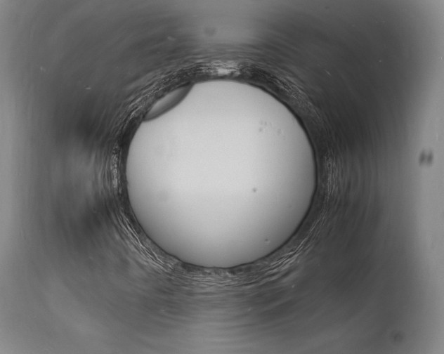 X0000112151442200908070951