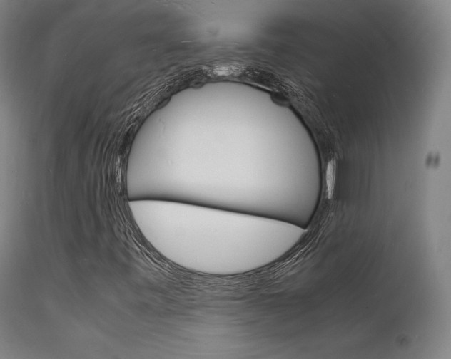 X0000112151443200908070951