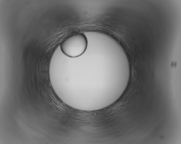 X0000112151444200908070951