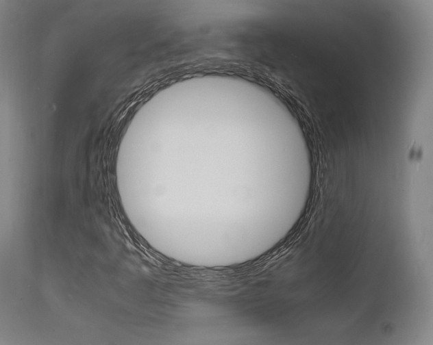 X0000112151445200908070951