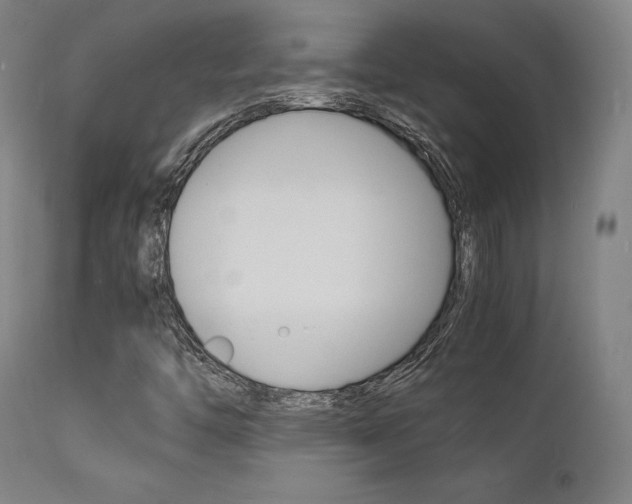 X0000112151446200908070951
