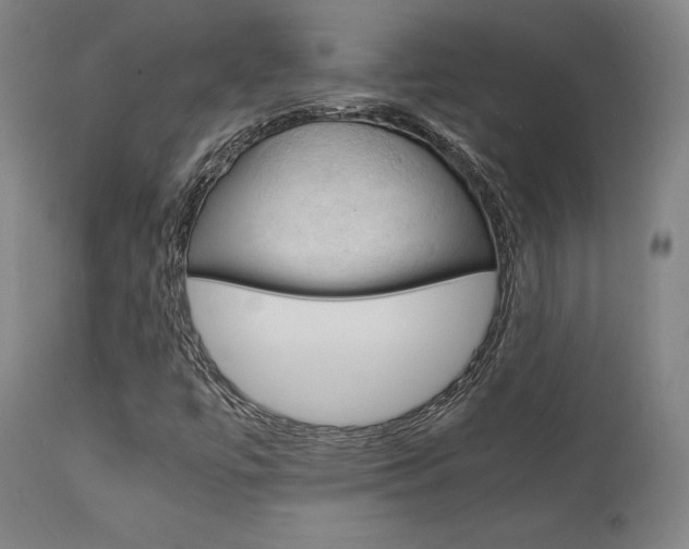 X0000112151447200908070951