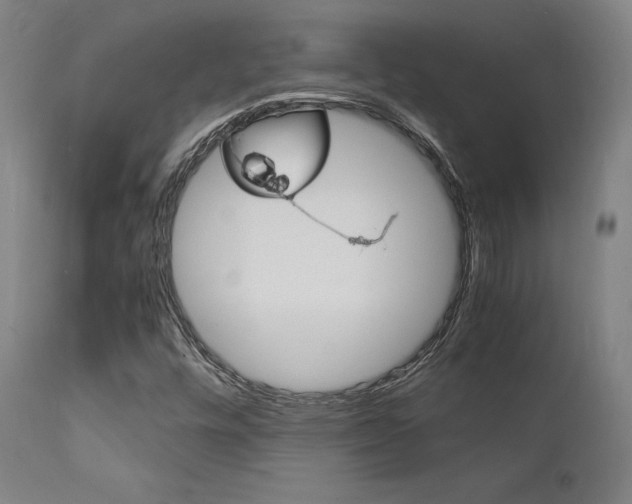 X0000112151448200908070951