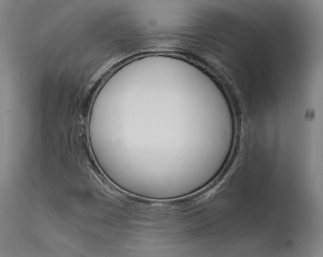 X0000112151449200908070951