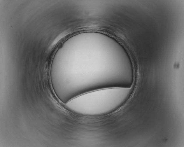 X0000112151450200908070951