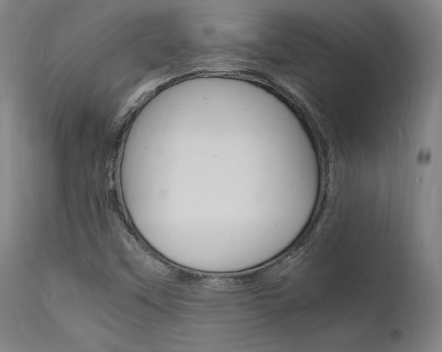 X0000112151451200908070951