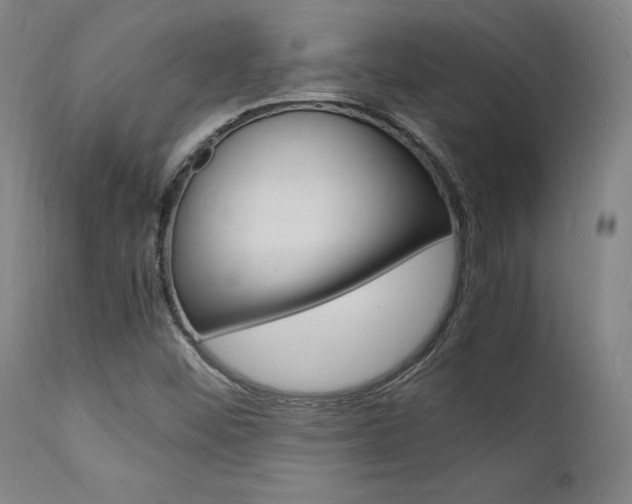 X0000112151452200908070951