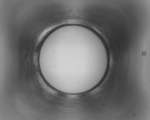 X0000112151454200908070951