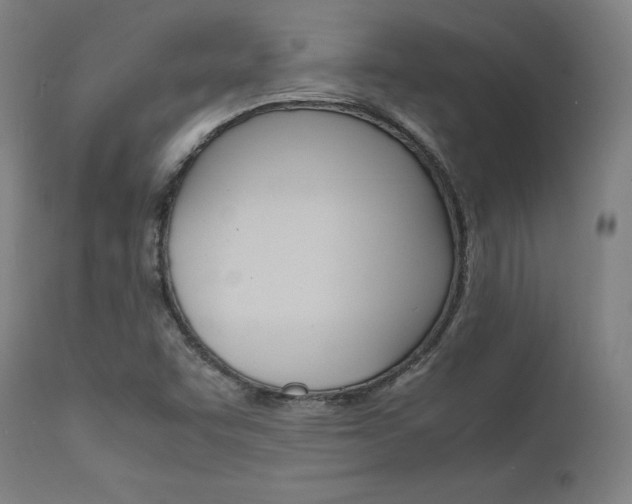 X0000112151455200908070951