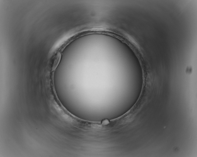 X0000112151456200908070951