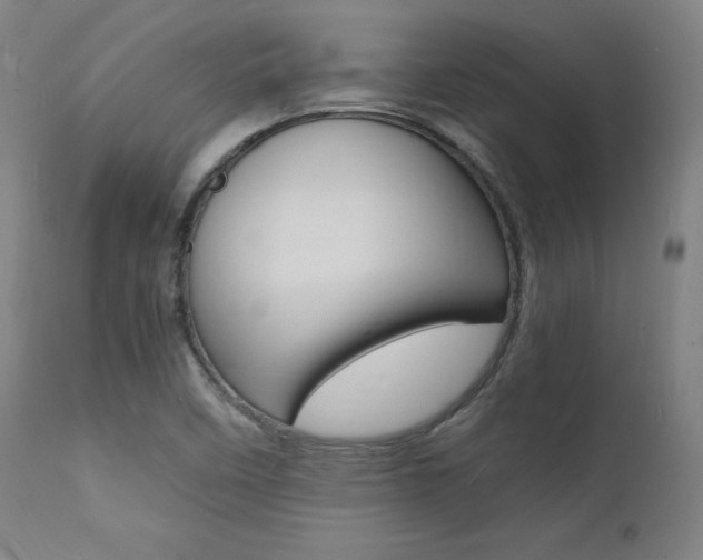 X0000112151458200908070951