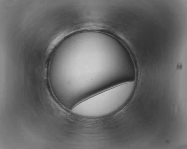 X0000112151459200908070951