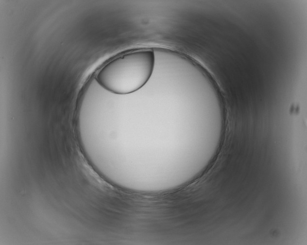 X0000112151460200908070951