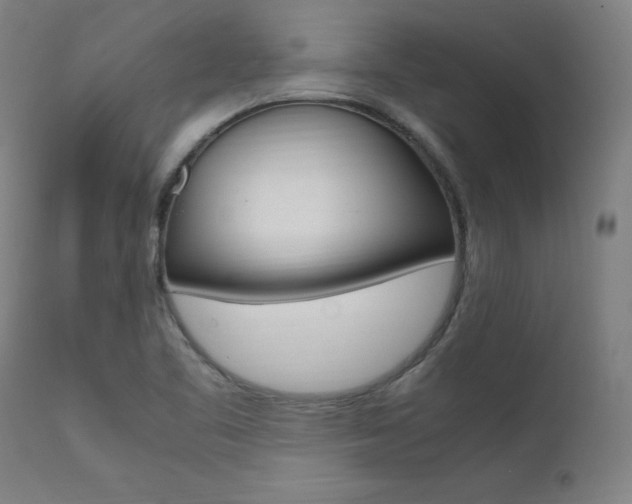 X0000112151461200908070951