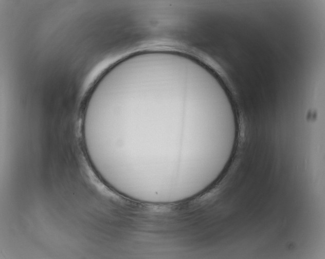 X0000112151462200908070951
