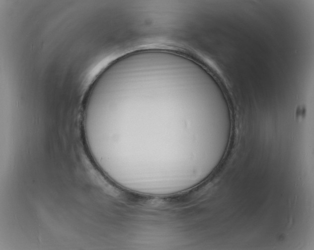 X0000112151463200908070951