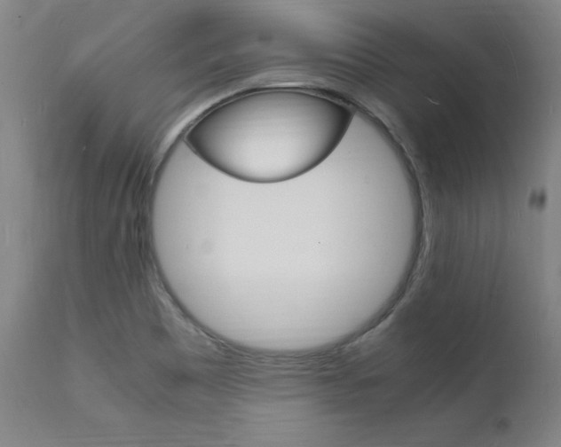 X0000112151465200908070951