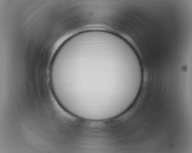 X0000112151466200908070951