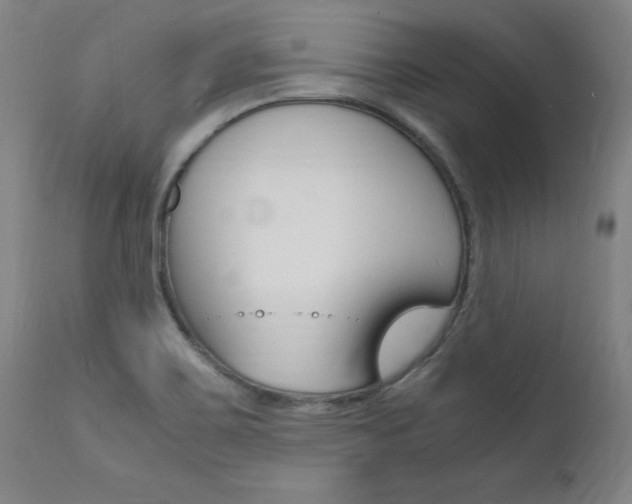 X0000112151467200908070951