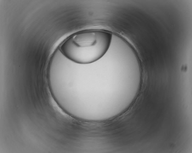X0000112151468200908070951