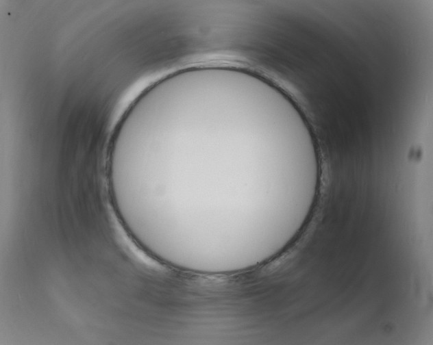 X0000112151470200908070951